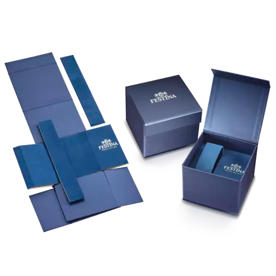 Orologio Festina CLASSICS F20426/6
